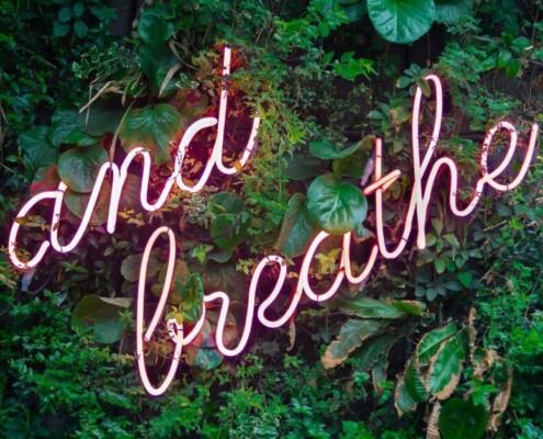 The words "and breath" in neon letters against a bush