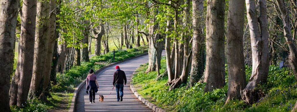 Couple walking their dog along a peaceful curved tree-lined path in a green park